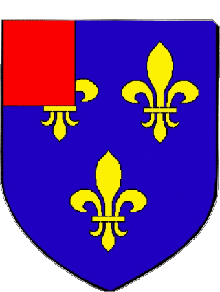 Wappen-Wappen MEHUN SUR YEVRE 18 Abteilungen - Städte Frankreich Fahnen 