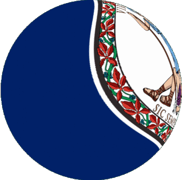 Sfera - Cubo Virginia U.S.A - Stati America Bandiere 