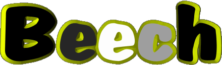 Beech B MASCULIN - UK - USA Prénoms 