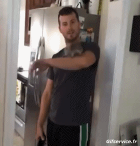 01 Ardillas Animales Humor - Fun 