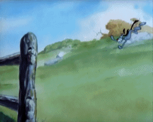 Happy Go Nutty Tex Avery Dessins Animés TV Cinéma Multi Média 