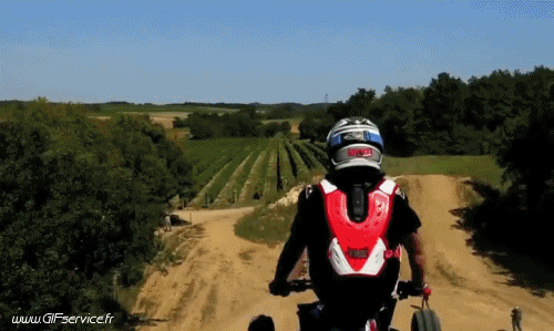 Fun - Win Quad Transport Humor -  Fun 