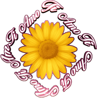 02 Ti Amo Italian Messages 