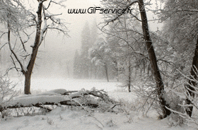 Raptor & Nocturne Geflügel Tiere Humor -  Fun 