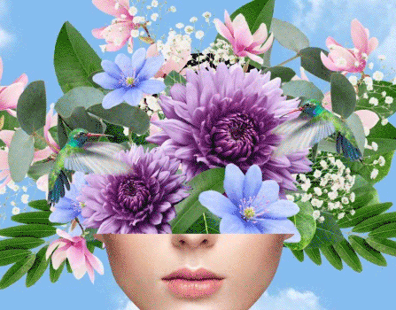 Chantal Caduff GIF Artistes Humour - Fun 