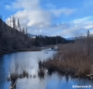 Fun - Win Boats Transport Humor -  Fun 