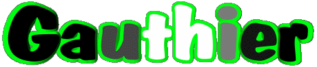 Gauthier G MASCULIN - France Prénoms 