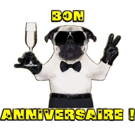 001 Animaux Bon Anniversaire Français Messages 