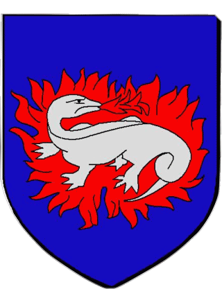 BELLEVILLE SUR SAONE 69 Abteilungen - Städte Frankreich Fahnen 