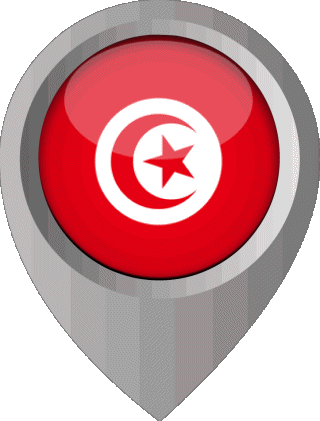 Epingle de Localisation Tunisie Afrique Drapeaux 