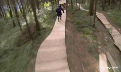 Fun - Win Roller Skate Sports Humour - Fun 