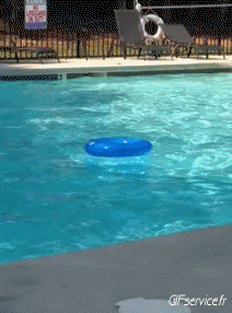 Gamelles Fail Piscine PERSONNAGES Humour - Fun 