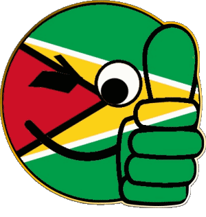 Smiley - OK Guyana Amerika Fahnen 