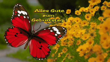004 Fondo animado Schmetterlinge Alles Gute zum Geburtstag Alemán Mensajes 