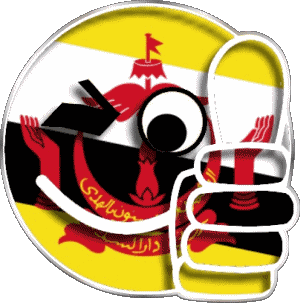 Faccina - OK Brunei Asia Bandiere 