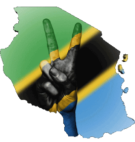 Carte Tanzanie Afrique Drapeaux 