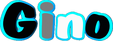 Gino G MASCULIN - Italie Prénoms 