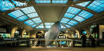 USA - New York Lugares - TimeLapse Humor - Fun 