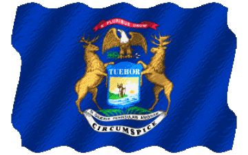 Ondulation Michigan U.S.A - Etats Amériques Drapeaux 