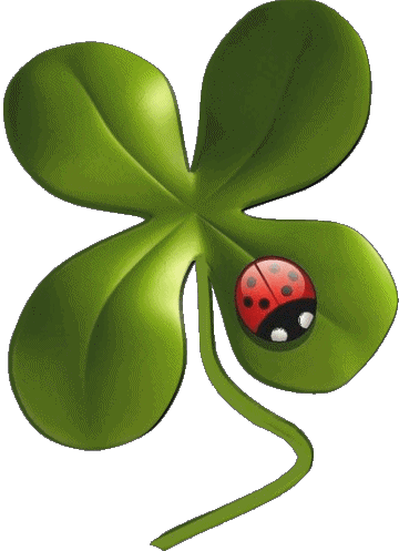 01 Fond Transparent Good Luck Anglais Messages 