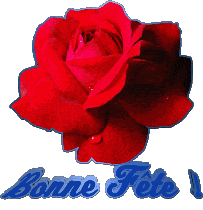 01 Bonne Fête Francese Messagi 