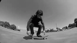 Free Style Fun - Win 02 Skateboard Sport Humor -  Fun 