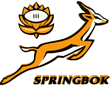 Springbok logo-Springbok logo Afrique du Sud Afrique Rugby Equipes Nationales - Ligues - Fédération Sports 