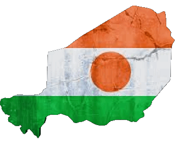 Carte Niger Afrique Drapeaux 