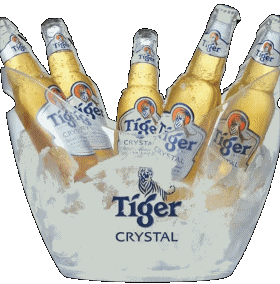 Tiger Singapore Birre Bevande 