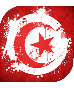 Carré Tunisie Afrique Drapeaux 