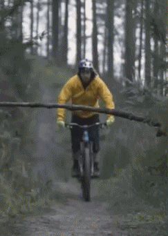 Fun - Win 02 Mountainbiking Sport Humor -  Fun 