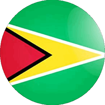 Runde Guyana Amerika Fahnen 