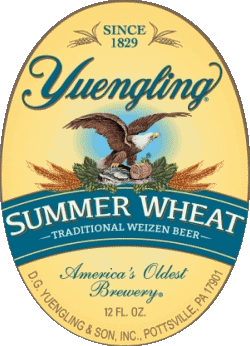 Yuengling USA Cervezas Bebidas 