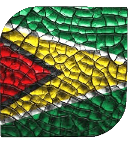 Quadrato Guyana America Bandiere 
