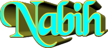 Nabih N MASCULINE - Maghreb Muslim First Names 