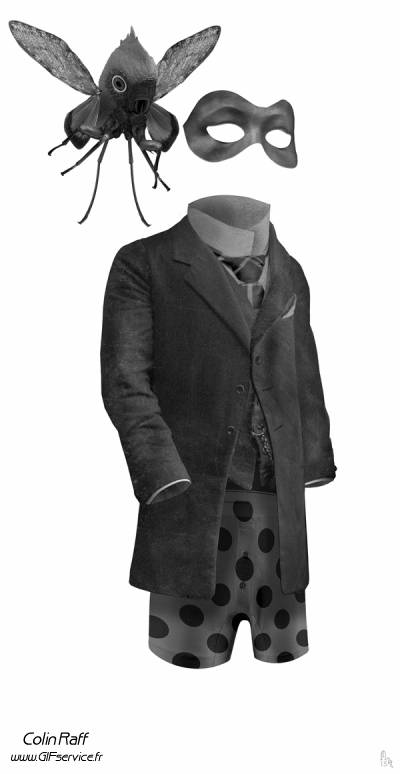 Colin Raff GIF Artista Umorismo -  Fun 