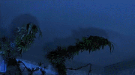 02 Video GIF Scary Movie Cinéma International Multi Média 