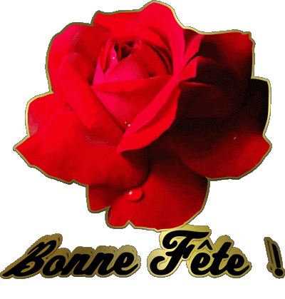 01 Bonne Fête Francés Mensajes 