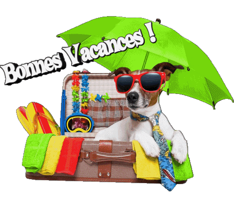 11 Fondo transparente Bonnes Vacances Francés Mensajes 