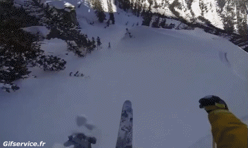 Free Ride Fun Win Ski Sport Humor -  Fun 