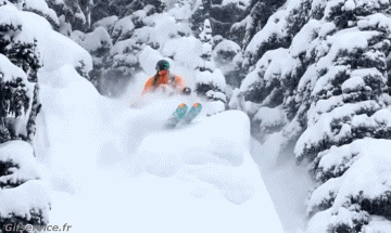 Free Ride Fun Win Ski Sports Humor -  Fun 