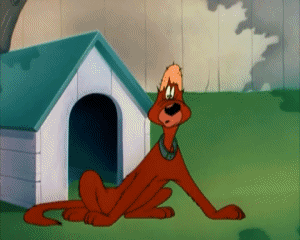 The Counterfeit Cat Tex Avery Cartoons TV Filme Multimedia 