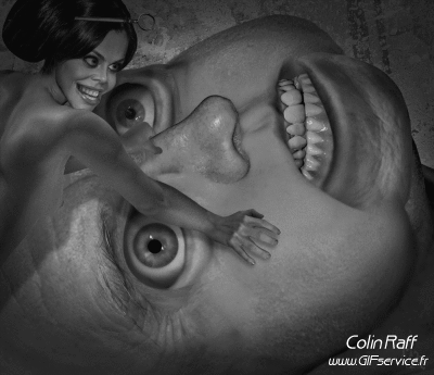 Colin Raff GIF Artista Humor - Fun 