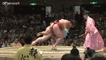Sumo Sport Humor -  Fun 