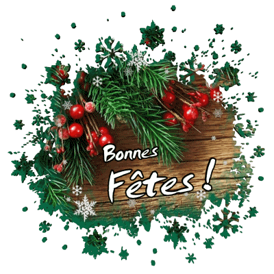 Serie 14 Bonnes Fêtes (Noël) Francés Mensajes 