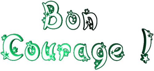 03 Bon Courage Französisch Nachrichten 