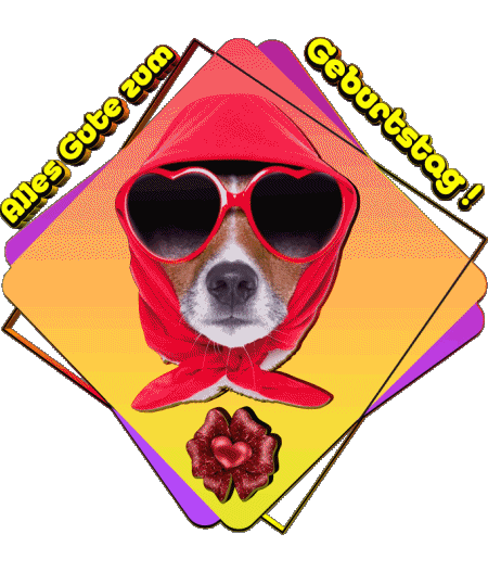 12 Tiere Alles Gute zum Geburtstag Deutsche Nachrichten 