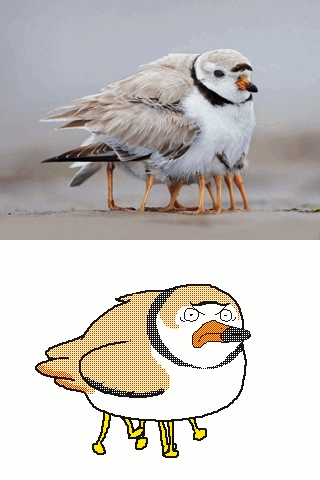 Kekeflipnote GIF Künstler Humor -  Fun 