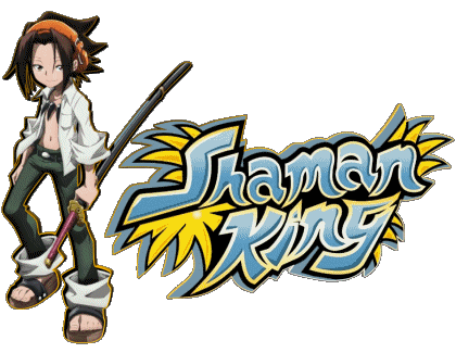 Shaman King Manga Multi Media 