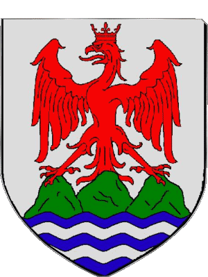 Blason-Blason NICE 06 Départements - Villes France Drapeaux 